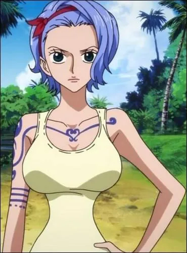 pisode 34 - Que sait-on sur Nojiko ?