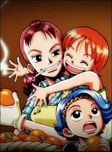 pisode 35 - Cochez les vrits sur la famille adoptive de Nami.