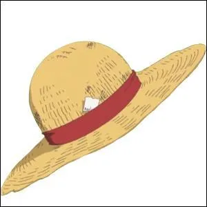 Qu'est-ce que le papier blanc qui se trouve sur le chapeaux ?