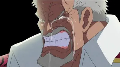 Que voulait faire Garp au sommet de Marineford, l o se droule la guerre ?