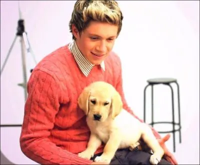 De quel pays est-il originaire ?