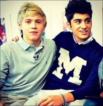 Quel membre du groupe est trs protecteur envers Niall ?