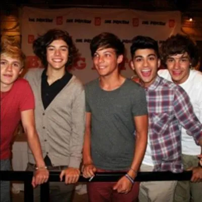 Les One Direction ont t rvls par une mission, laquelle ?