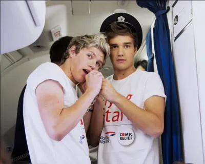 Niall et Liam sont ns la mme anne, mais laquelle ?