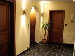 Le mot commence par : Ver ...