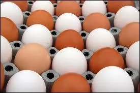 Le mot commence par : Ver ...