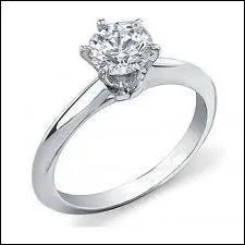 Le mot commence par : Ver ...