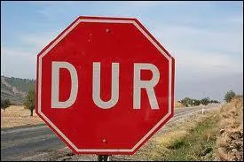 Le mot commence par : Ver ...