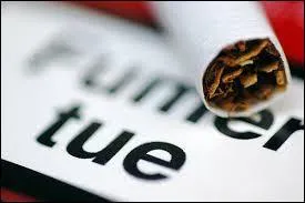 Le mot commence par : Ver ...