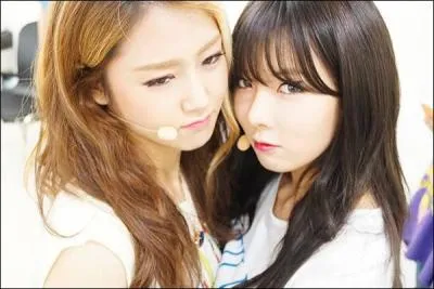 Quel est le premier groupe qu'elle a rejoint  ses dbuts ?