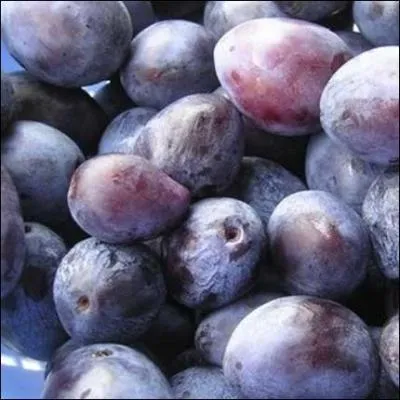 Au nom de l'habitant du pays dont la capitale est Prague, quelle lettre devez-vous ajouter pour crire le nom de ce fruit alsacien ?