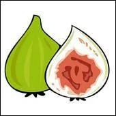 Qu'est-ce que c'est ?