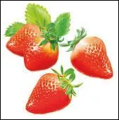 Qu'est-ce que c'est ?