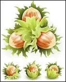 Qu'est-ce que c'est ?