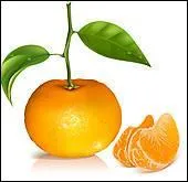 Qu'est-ce que c'est ?