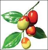 Qu'est-ce que c'est ?