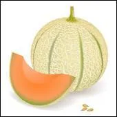 Qu'est-ce que c'est ?