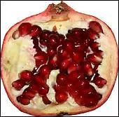 Qu'est-ce que c'est ?