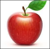 Qu'est-ce que c'est ?