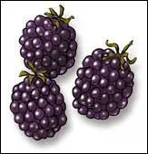 Qu'est-ce que c'est ?