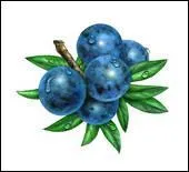 Qu'est-ce que c'est ?