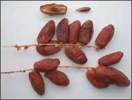 Qu'est-ce que c'est ?