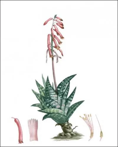 Son port n'en manque pas :