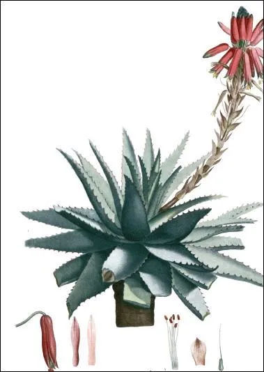 Ne pas s'y frotter, sinon gare !