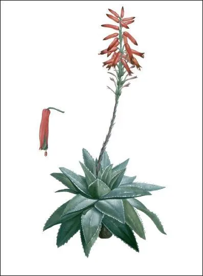 Non, ce n'est pas un outil :