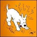 Et moi, de quelle race suis-je ?