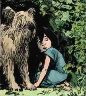 Dans quelle BD est-ce que j'apparais ?