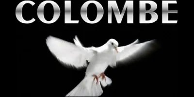 Quelle est l'origine du prénom Colombe, que l'on fête le 31 décembre ?