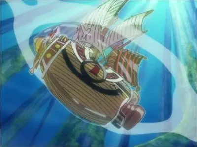 Grce  quel monstre marin, apprivois par Luffy, les Chapeaux de Paille ont-ils pu atteindre rapidement l'le des Homme-Poissons ?