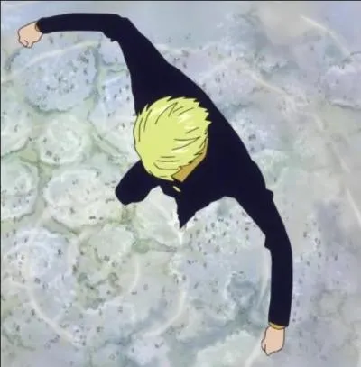 Sur l'le des Hommes-Poissons, Sanji utilise une technique nomme  Sky Walk  inspire d'une technique du CP9. Laquelle ?