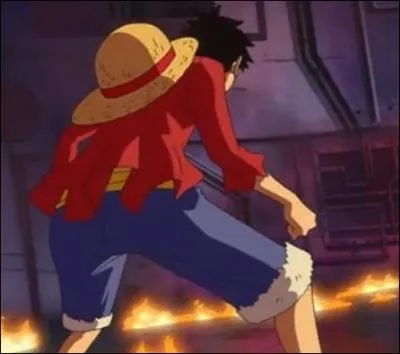 Avec qui Luffy engage-t-il un combat sur Punk Hazard ?