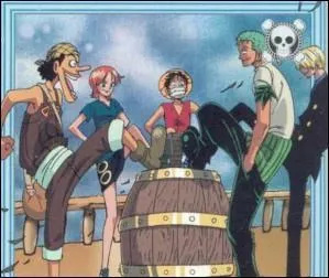 Dans quel ordre les membres ont-ils rejoint (officiellement ! ) l'quipage du Chapeau de Paille ? (avant l'entre dans Grand Line)