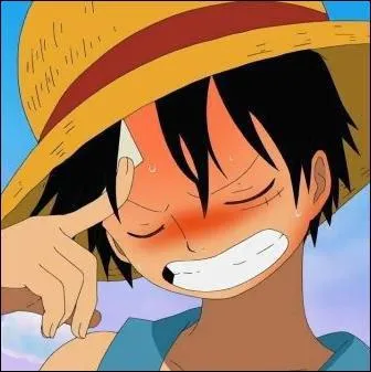 Qu'est-il le plus important aux yeux de Luffy ?