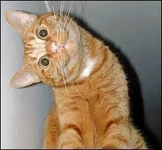  Vous voyez que c'est tr�s dr�le, j'trouve le p'tit truc...  