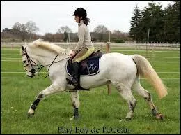 De quel ct doit-on monter sur un cheval ?