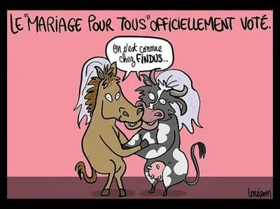 Retrouvez l'expression bovine !