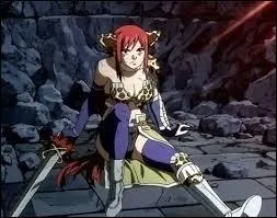 Comment s'appelle cette armure ?