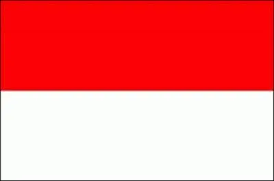 C'est le drapeau de quel pays ?