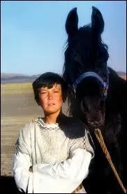 De quel film ou de quelle srie s'agit-il ?