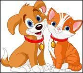 Ils ont un chien ... un chat.