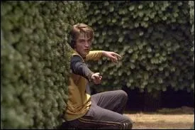 Sous quelle forme est le Portoloin que Cdric et Harry touchent en mme temps ?