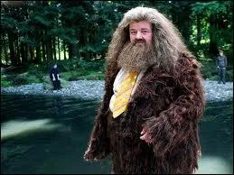 De qui Hagrid tombe-t-il amoureux ?