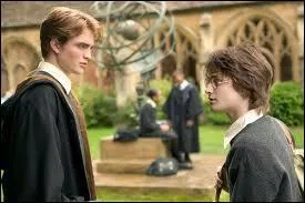 Lors de la participation de Cdric Diggory  sa premire preuve, en quoi mtamorphose-t-il son dragon pour gagner ?