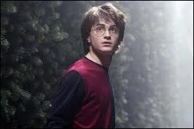 Quelle est la hauteur des haies du labyrinthe ?