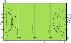 Le terrain de hockey sur gazon est habituellement...