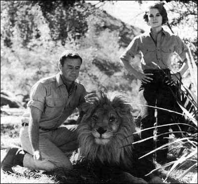 Quelle est cette srie ?